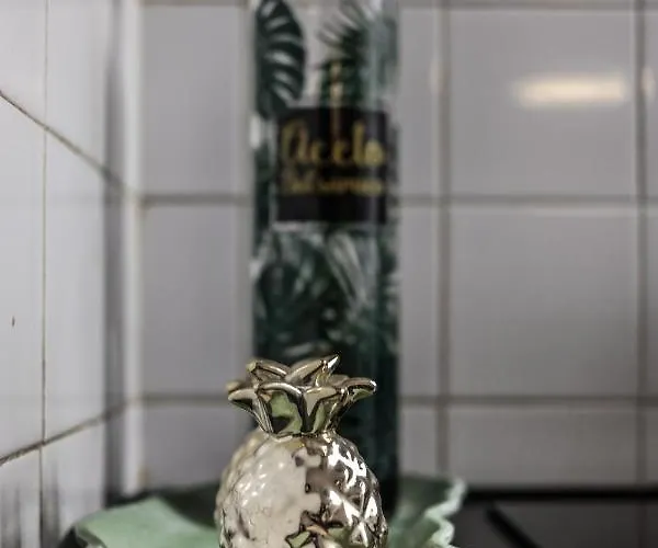 Cozy House Apartment *